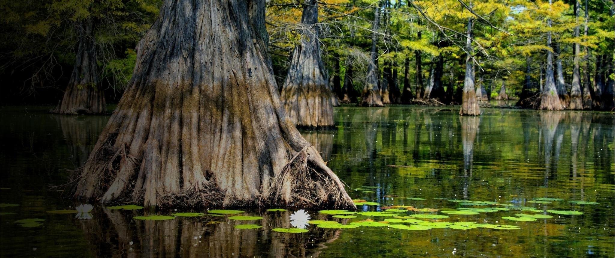 Louisiana Drone Laws, Rules and Regulations