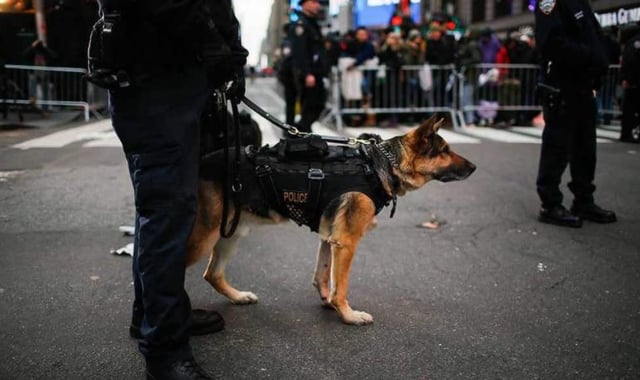 Police Patrol with explosive detection canines
