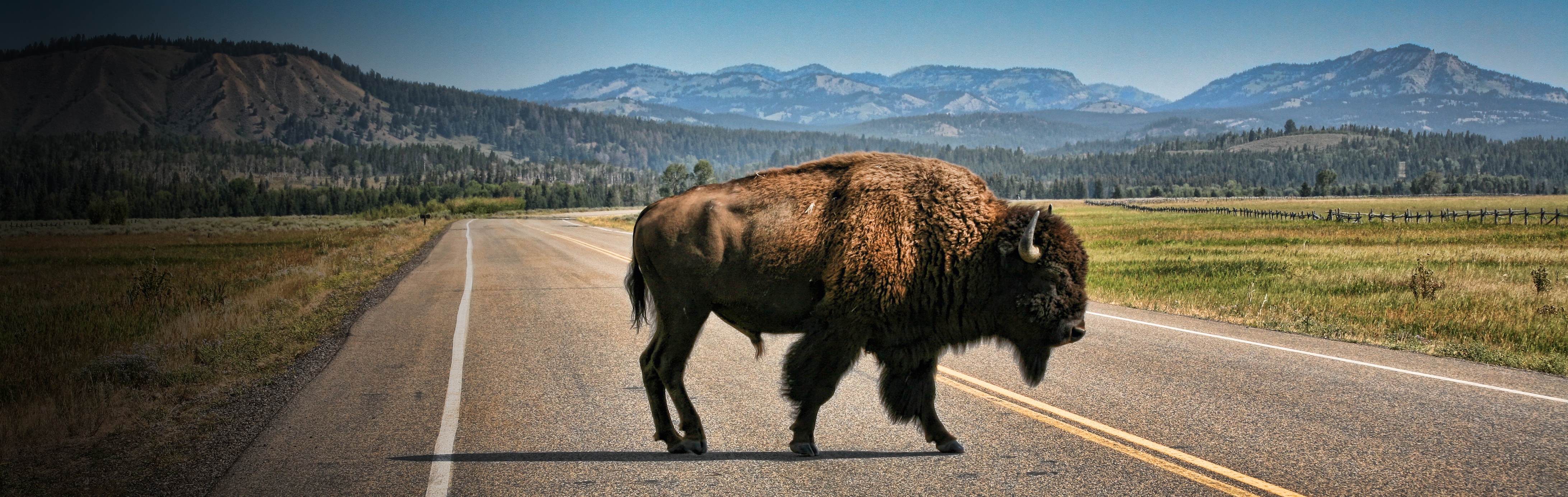 South Dakota