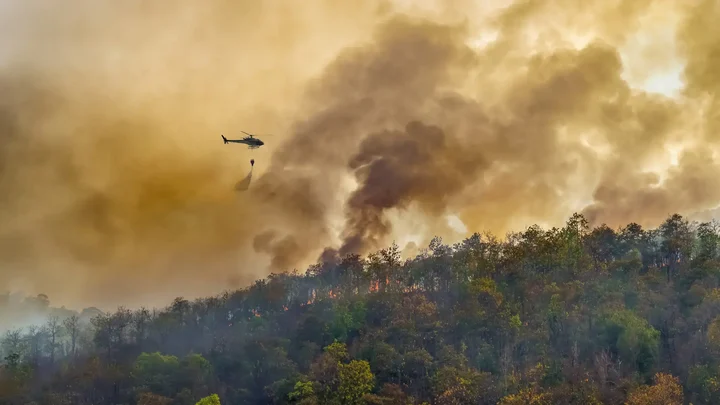 Wildfire Image