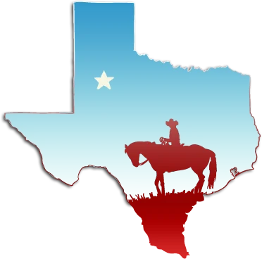 texas drone rules