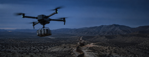 Border and anti-cartel operations
