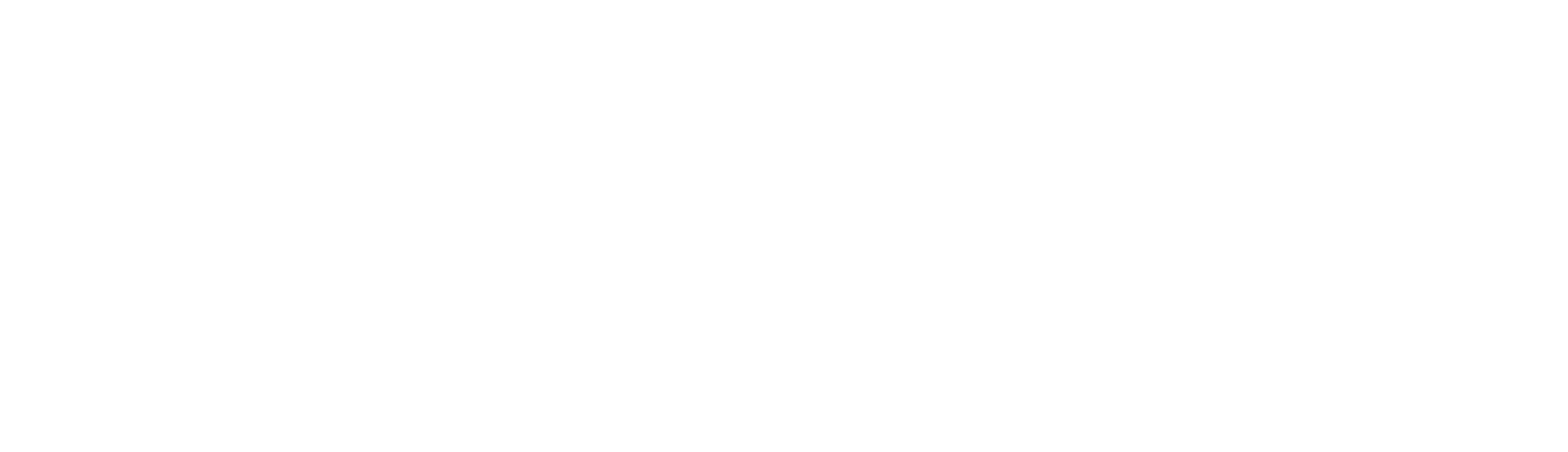 AIRSIGHT-white LOGO