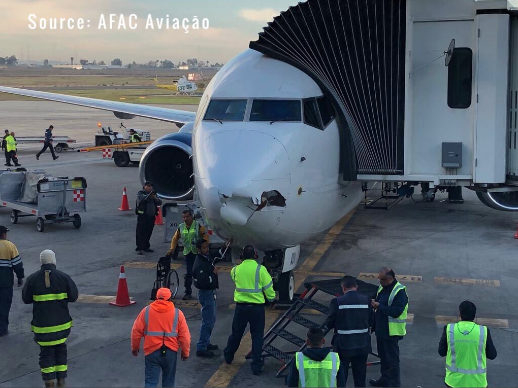Aeromexico Flight 377 midair drone collision
