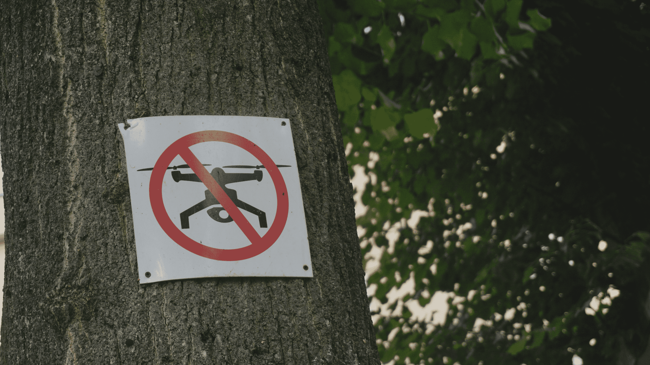 DJI Drone Ban Visual Image
