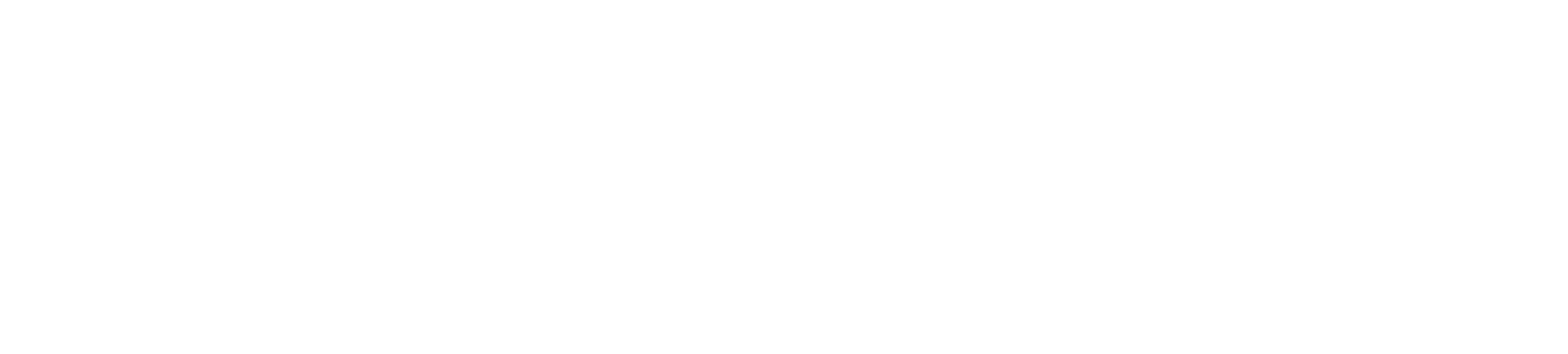Bosch White Logo